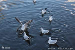 普渡河自然保护区