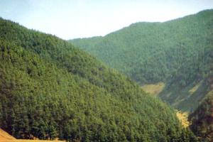 钟灵山国家森林公园