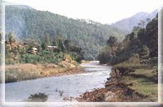 小黑江森林公园