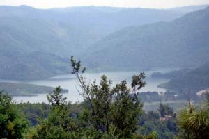 松花坝自然保护区